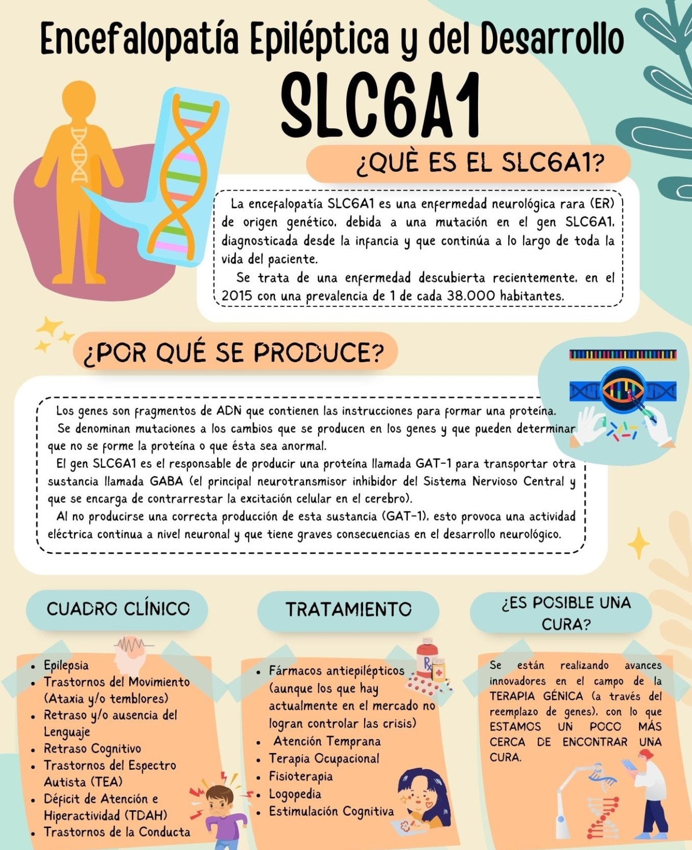 Díptico informativo de SLC6A1-Spain sobre la encefalopatía epiléptica y del desarrollo SLC6A1