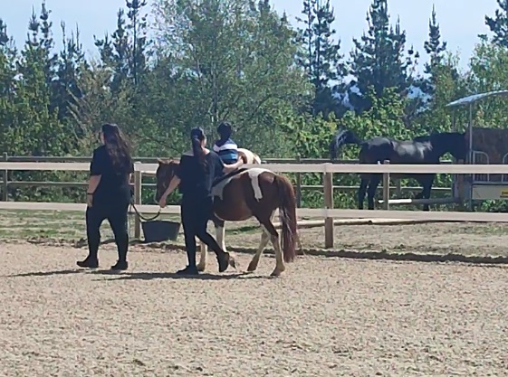Equinoterapia