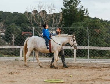 Equinoterapia