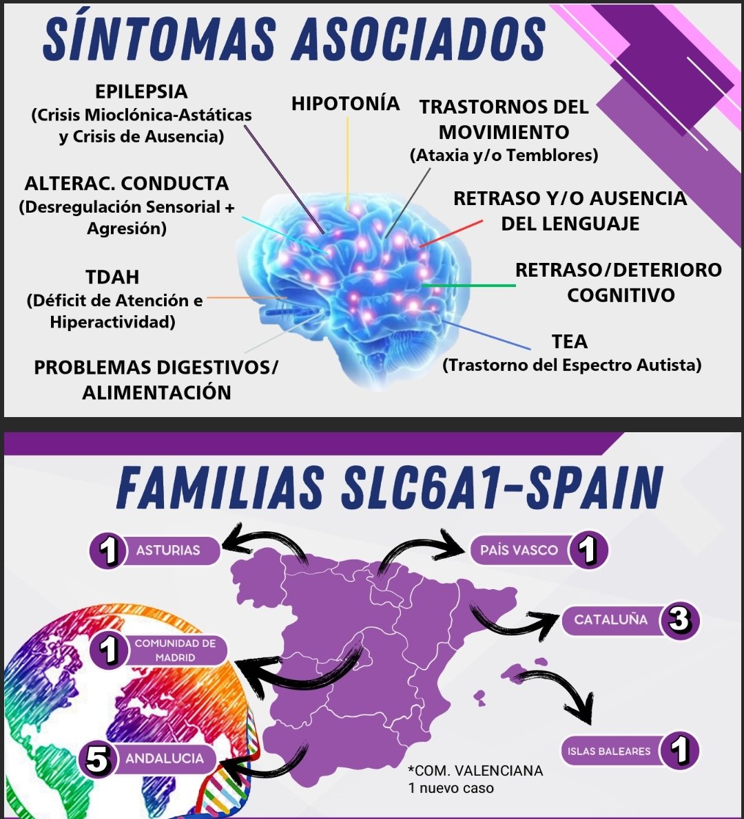 Buscamos dar visibilidad a SLC6A1