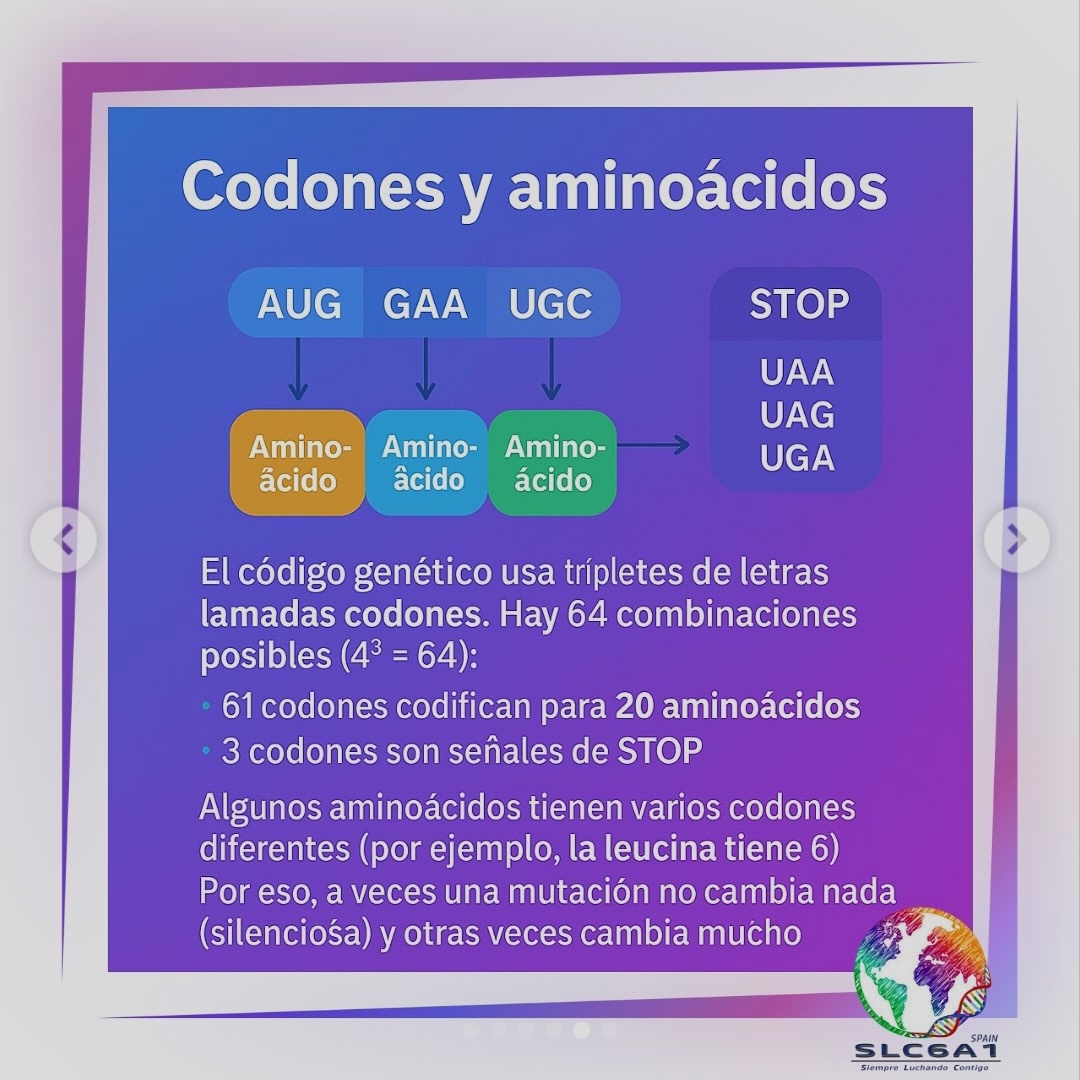 Ilustración educativa sobre el ADN, el gen SLC6A1, la proteína GAT-1 y el neurotransmisor GABA