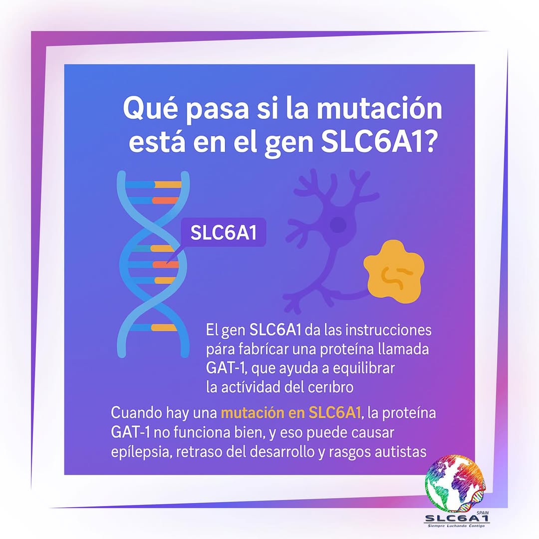 Ilustración educativa sobre el ADN, el gen SLC6A1, la proteína GAT-1 y el neurotransmisor GABA