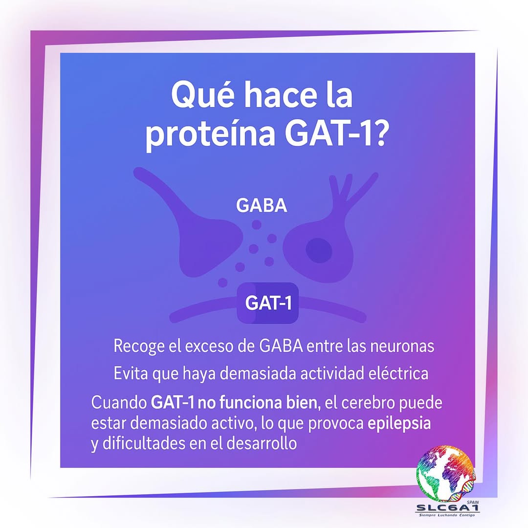 Ilustración educativa sobre el ADN, el gen SLC6A1, la proteína GAT-1 y el neurotransmisor GABA