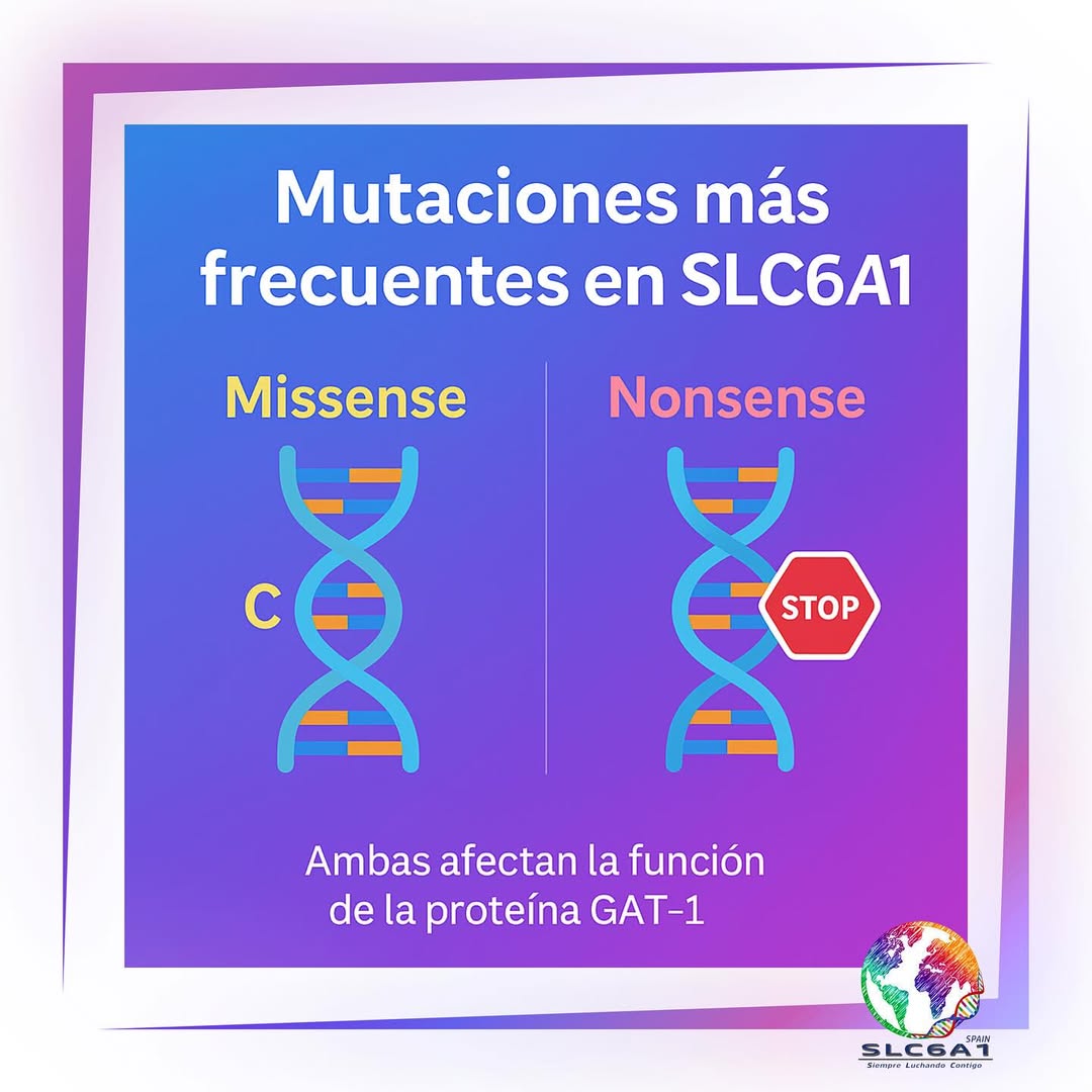 Ilustración educativa sobre el ADN, el gen SLC6A1, la proteína GAT-1 y el neurotransmisor GABA